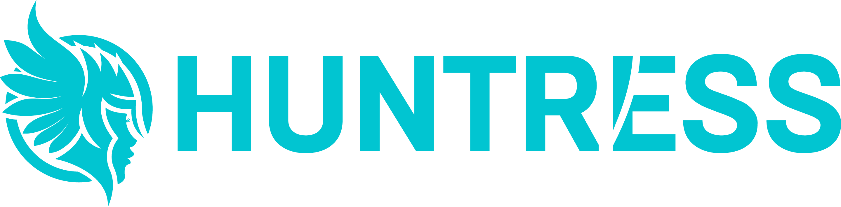 IP Guard Logo
